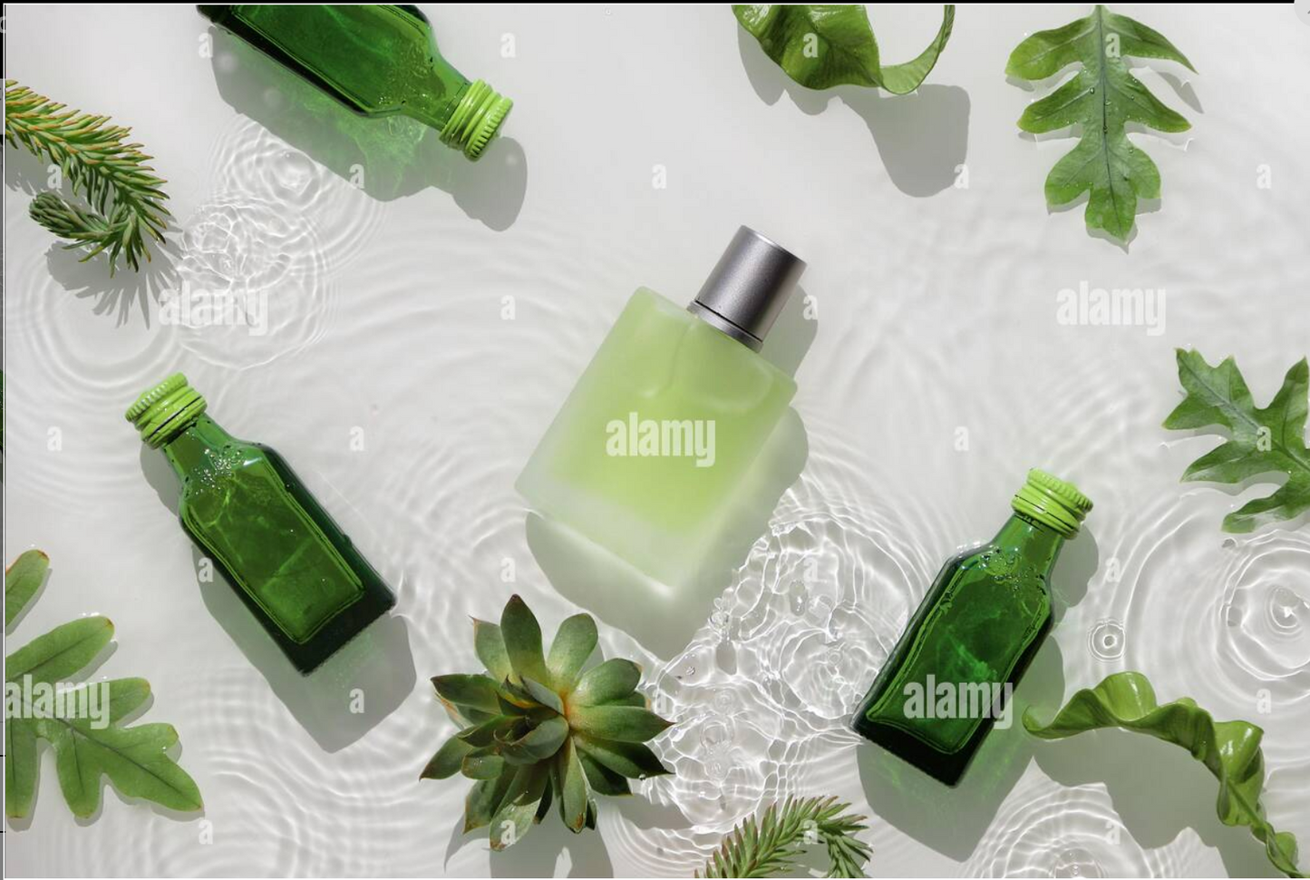 Tamanu Balm